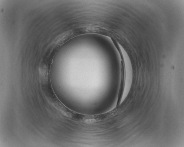 X0000081420228200701261602