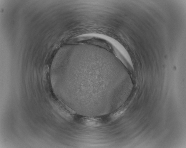 X0000081420229200701261602