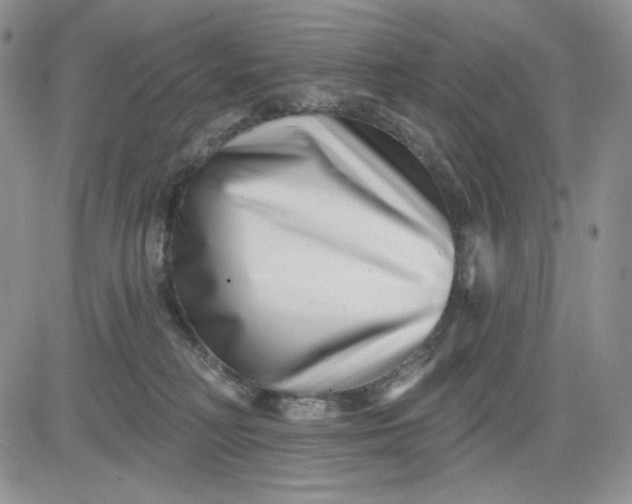 X0000081420230200701261602