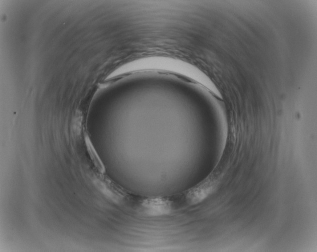 X0000081420231200701261602