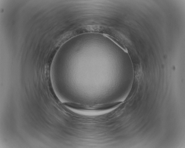 X0000081420233200701261602