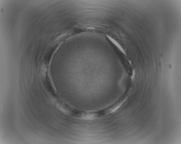 X0000081420235200701261602