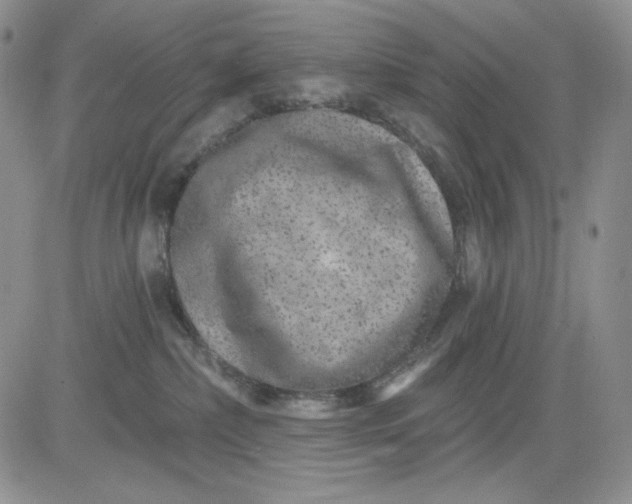 X0000081420236200701261602