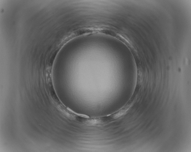 X0000081420237200701261602