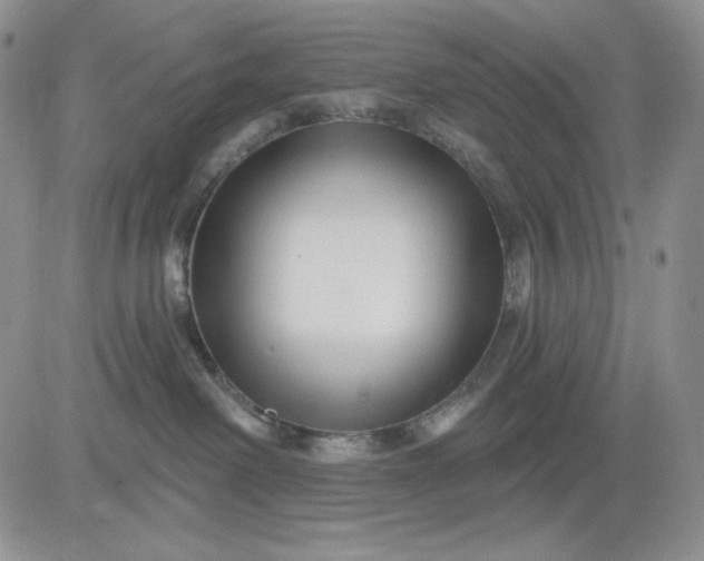 X0000081420238200701261602