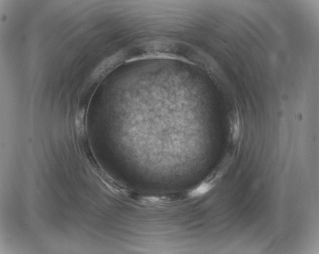 X0000081420239200701261602