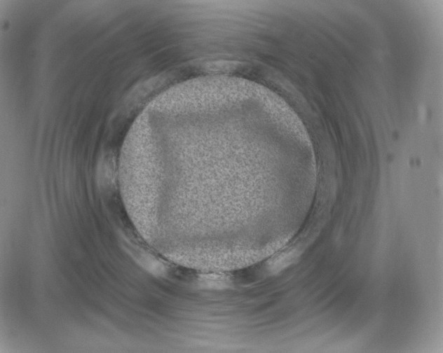 X0000081420240200701261601