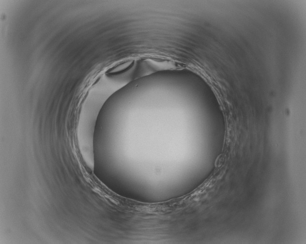 X0000081420241200701261601