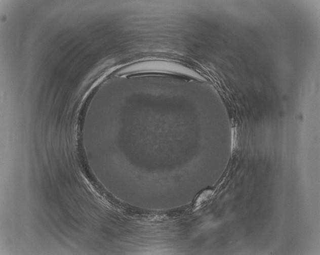 X0000081420243200701261601