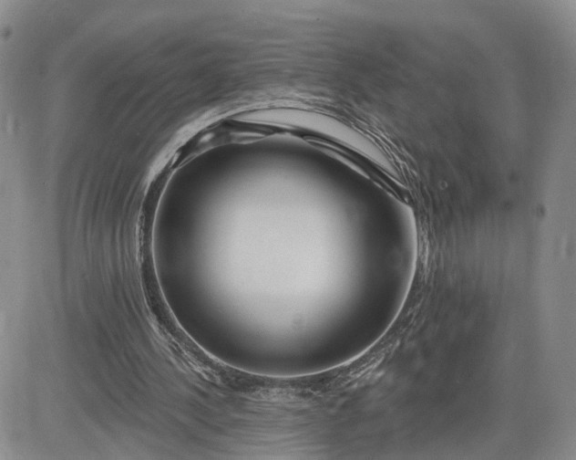 X0000081420244200701261601