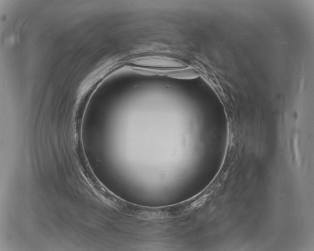 X0000081420245200701261601