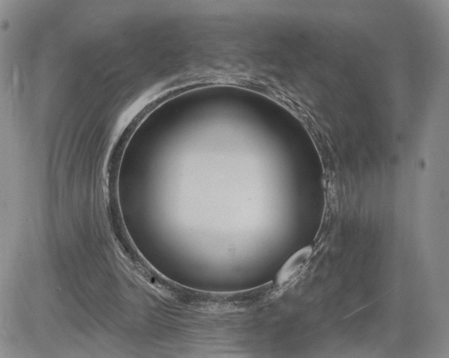 X0000081420246200701261601