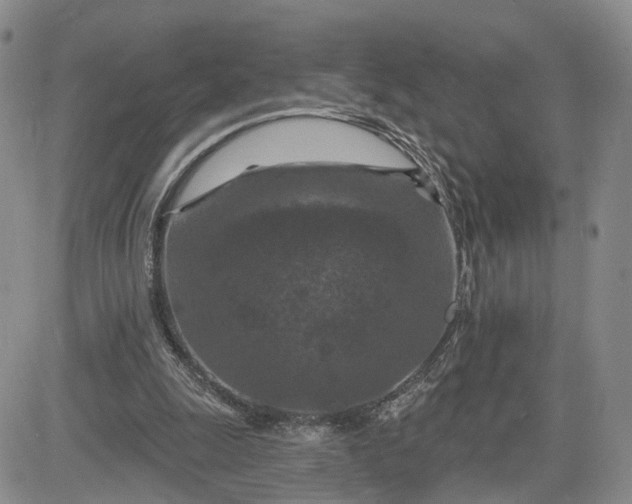 X0000081420247200701261601