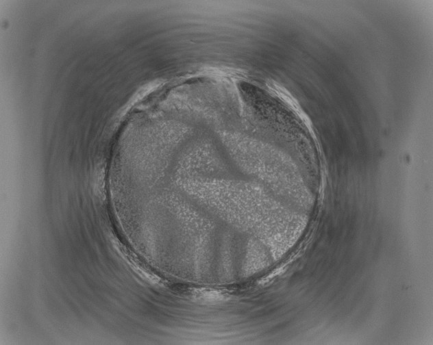 X0000081420249200701261601