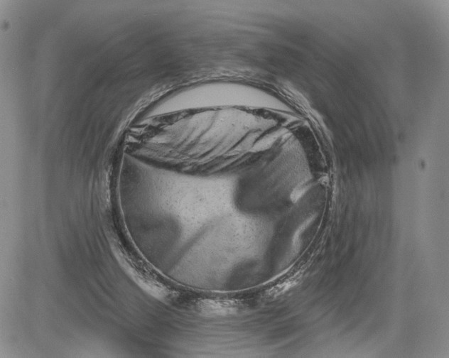 X0000081420250200701261601