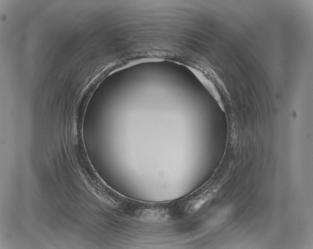 X0000081420251200701261601