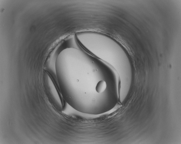 X0000081420252200701261601