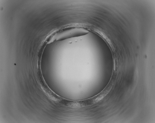 X0000081420253200701261601