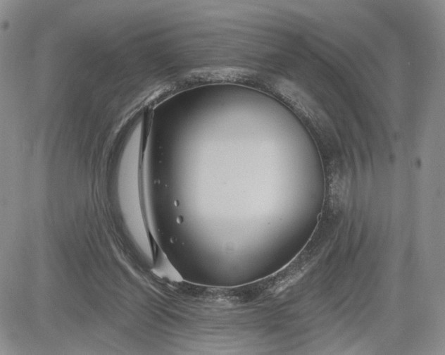 X0000081420254200701261601