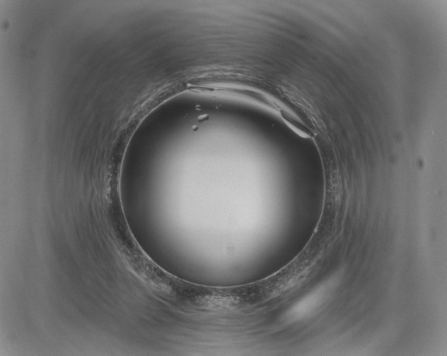 X0000081420255200701261601