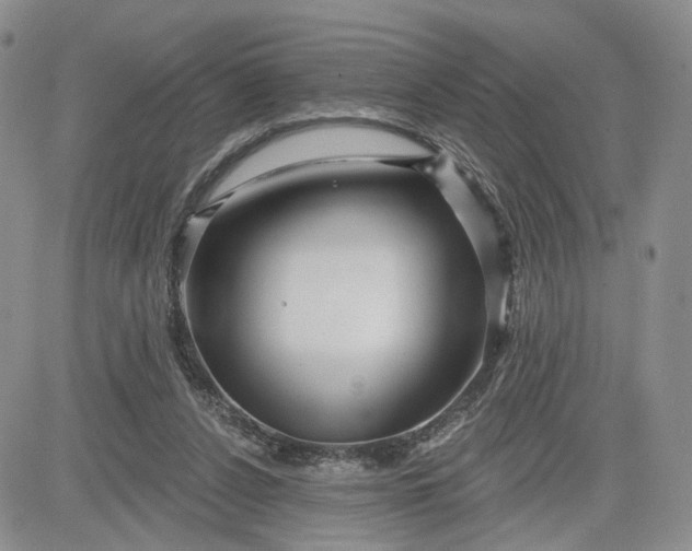 X0000081420256200701261601