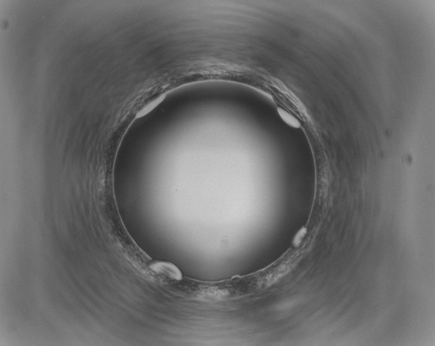 X0000081420257200701261601