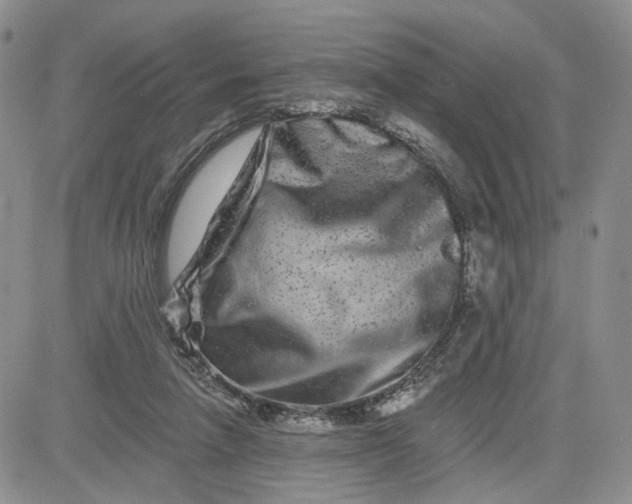 X0000081420258200701261601