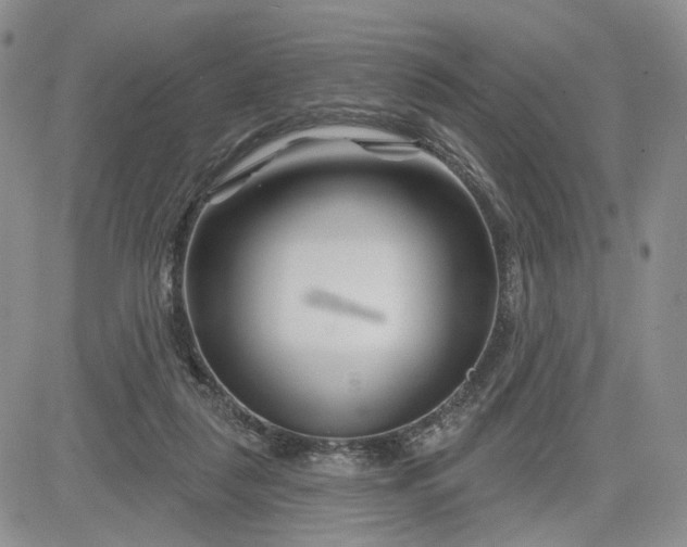 X0000081420259200701261601