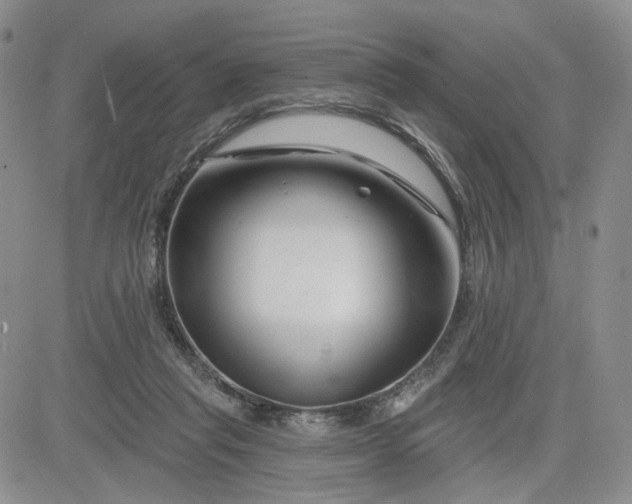 X0000081420261200701261601