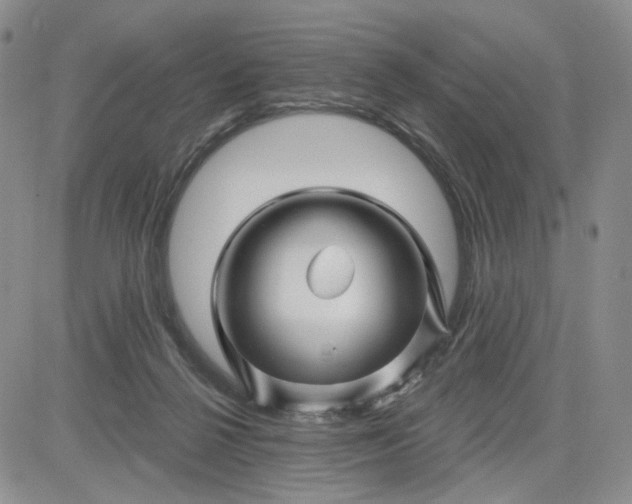 X0000081420264200701261601