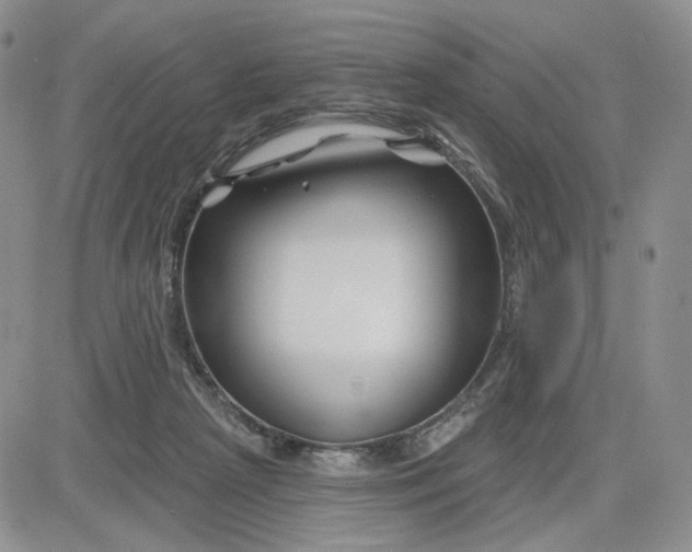 X0000081420265200701261601