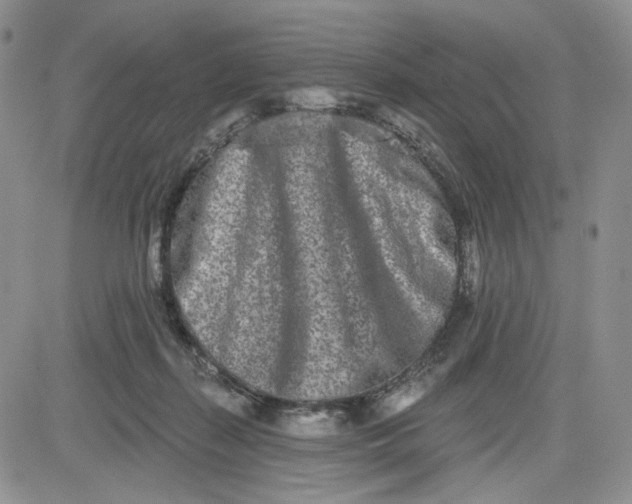 X0000081420267200701261601