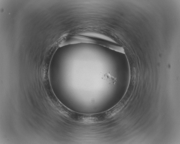 X0000081420268200701261601