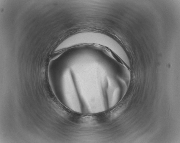 X0000081420269200701261601