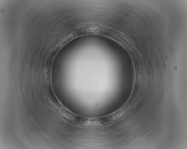 X0000081420270200701261601