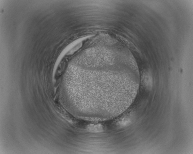 X0000081420271200701261601