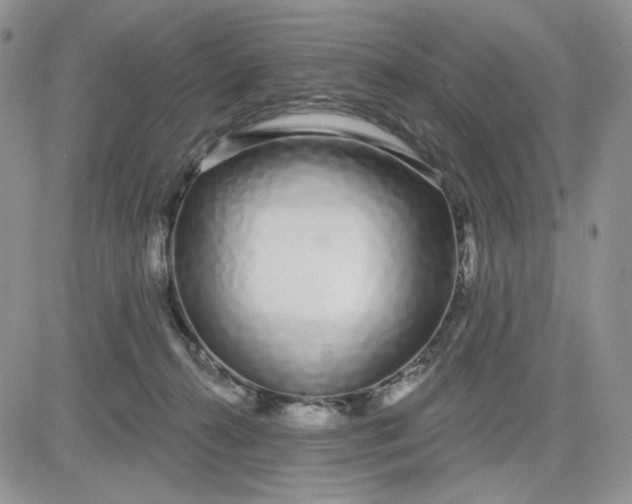 X0000081420272200701261601