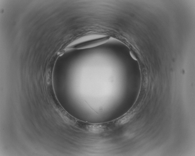 X0000081420273200701261601