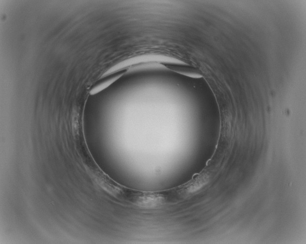 X0000081420274200701261601