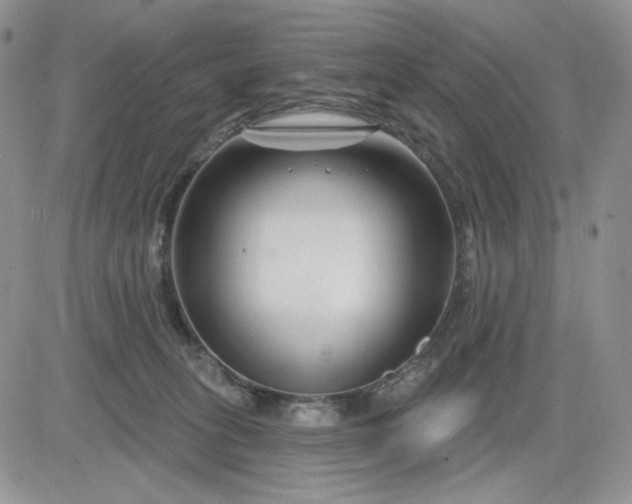 X0000081420275200701261601