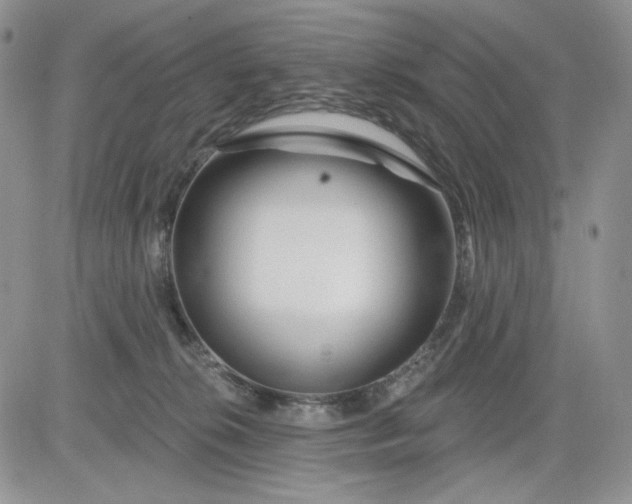 X0000081420276200701261601