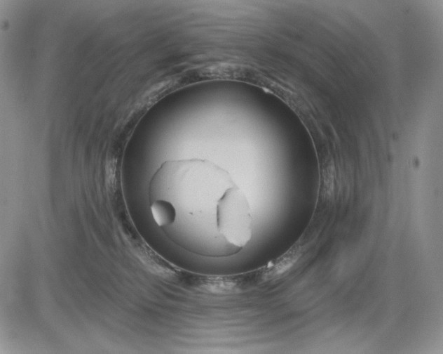 X0000081420278200701261601