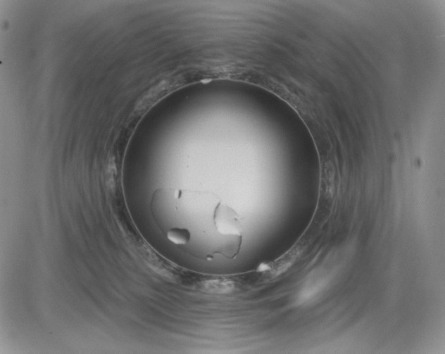 X0000081420279200701261601