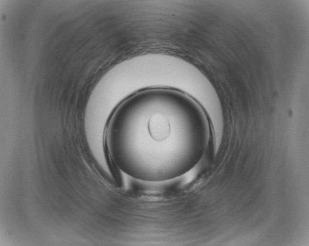 X0000081420280200701261601