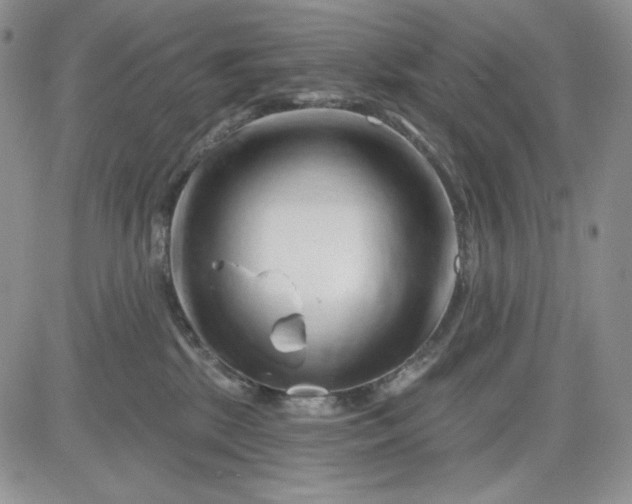 X0000081420281200701261601