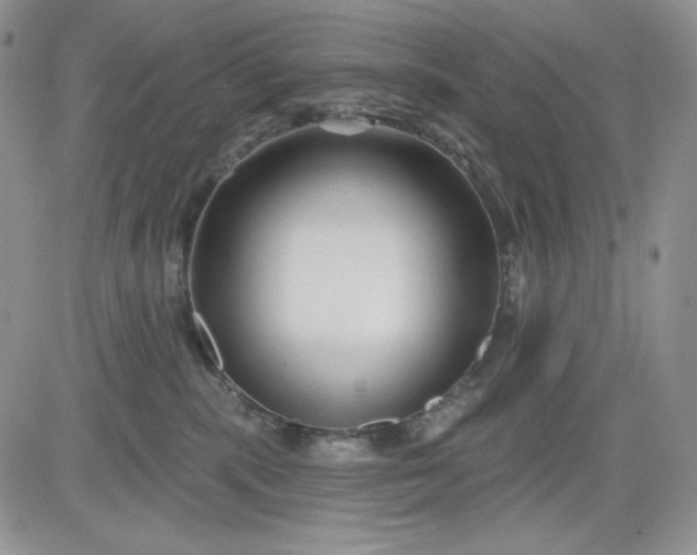 X0000081420283200701261601