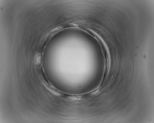 X0000081420284200701261601