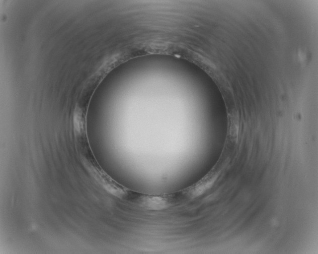 X0000081420287200701261601