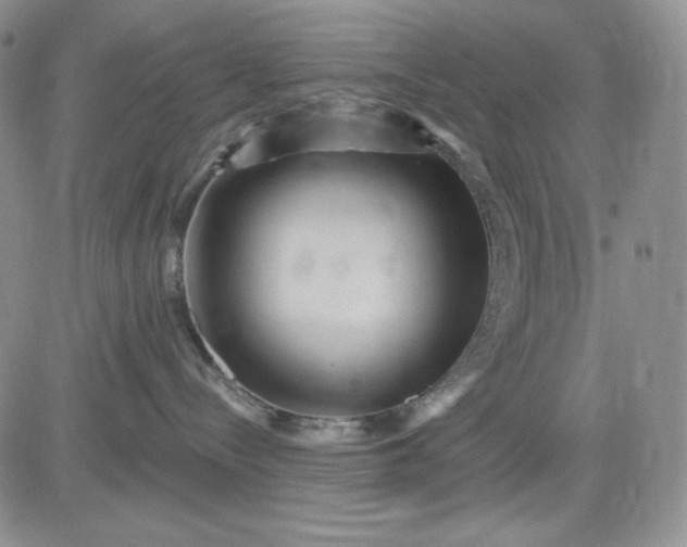 X0000081420288200701261601