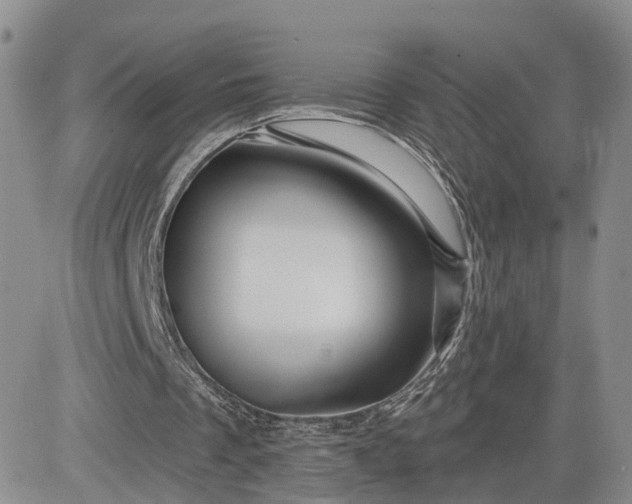 X0000081420289200701261601